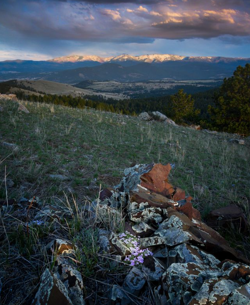<p>The Montana City parcel as evening falls (Kevin League photo)</p><p>The Montana City parcel as ev